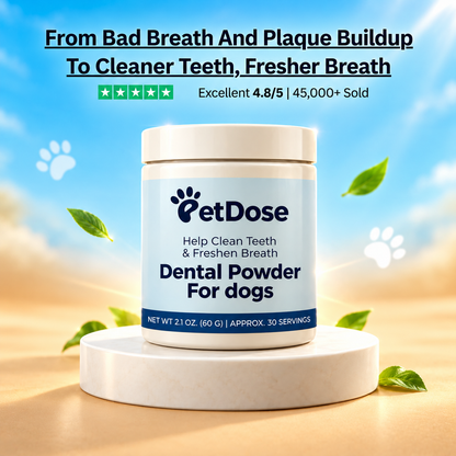 Dental Powder — Fresh Breath, Cleaner Teeth & Healthier Gums for Dogs